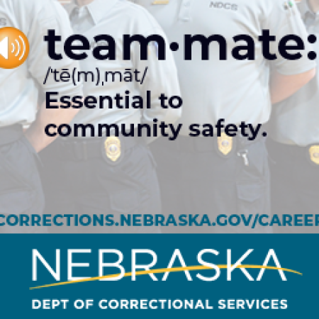 ndcs_300x250_teammate.png