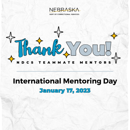 ndcs_mentors-1_2.png