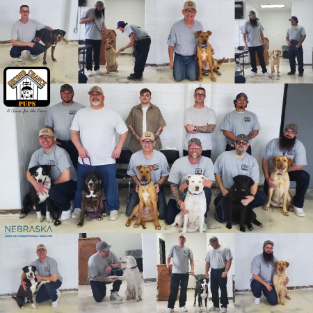 second_chance_pups_2.jpg