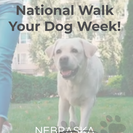 walk_your_dog_week.png walk_your_dog_week.png
