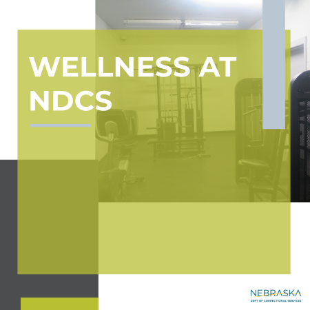 wellness_centers-1.png wellness_centers-1.png